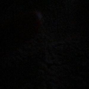 Meet your Posher, Nedim